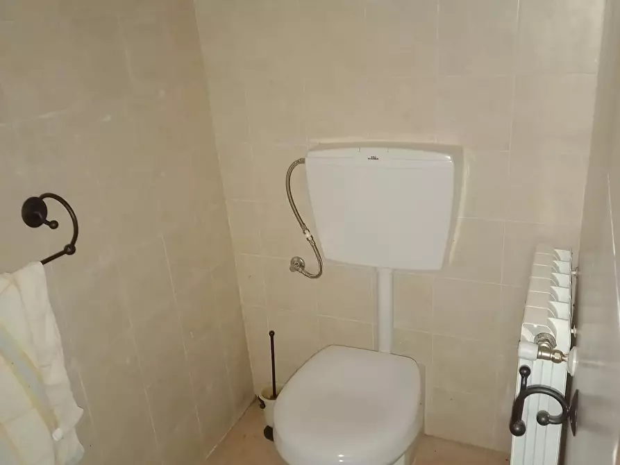 Immagine 16 di Rustico / casale in vendita  a Capannori