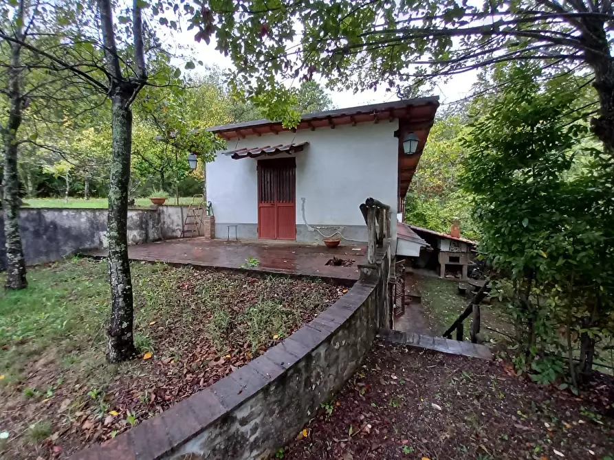 Immagine 3 di Rustico / casale in vendita  a Capannori