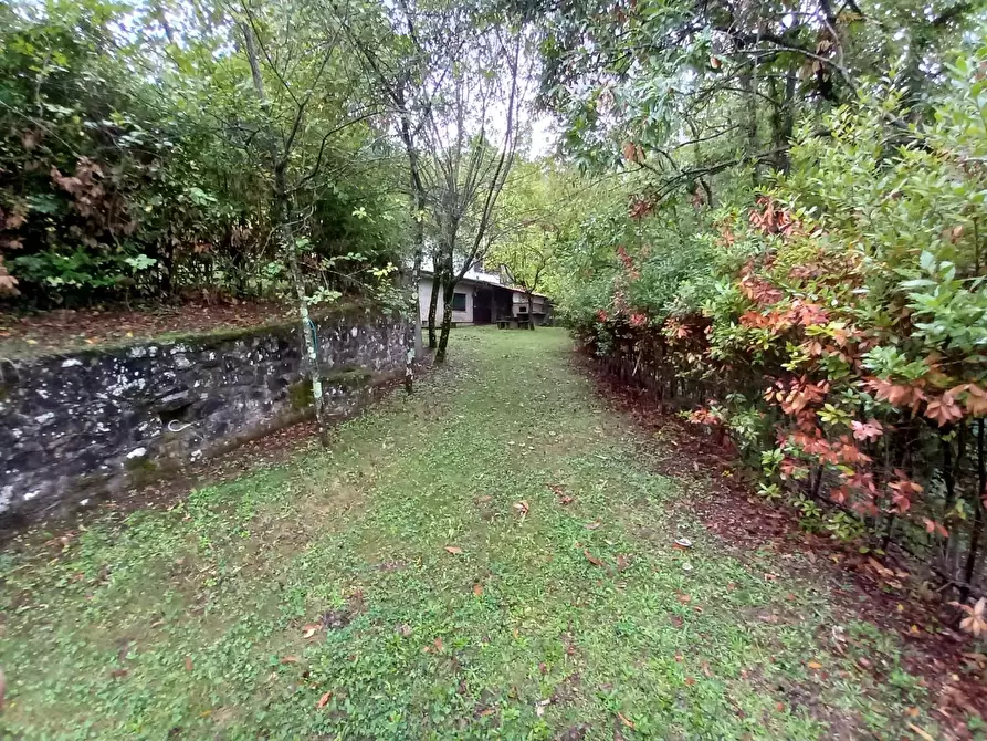 Immagine 13 di Rustico / casale in vendita  a Capannori