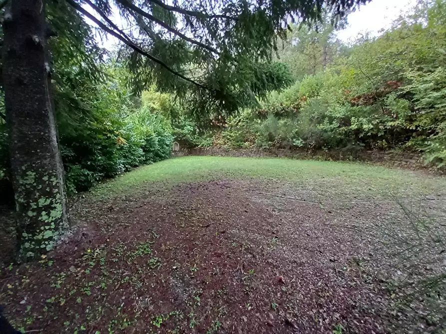 Immagine 12 di Rustico / casale in vendita  a Capannori