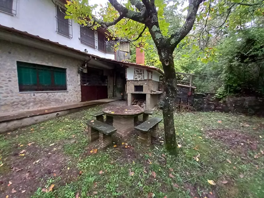 Immagine 4 di Rustico / casale in vendita  a Capannori