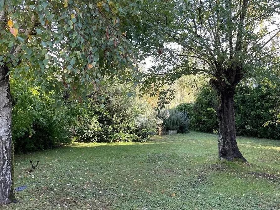 Immagine 3 di Villa in vendita  a Forte Dei Marmi