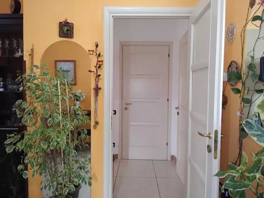 Immagine 3 di Casa semindipendente in vendita  a Carrara