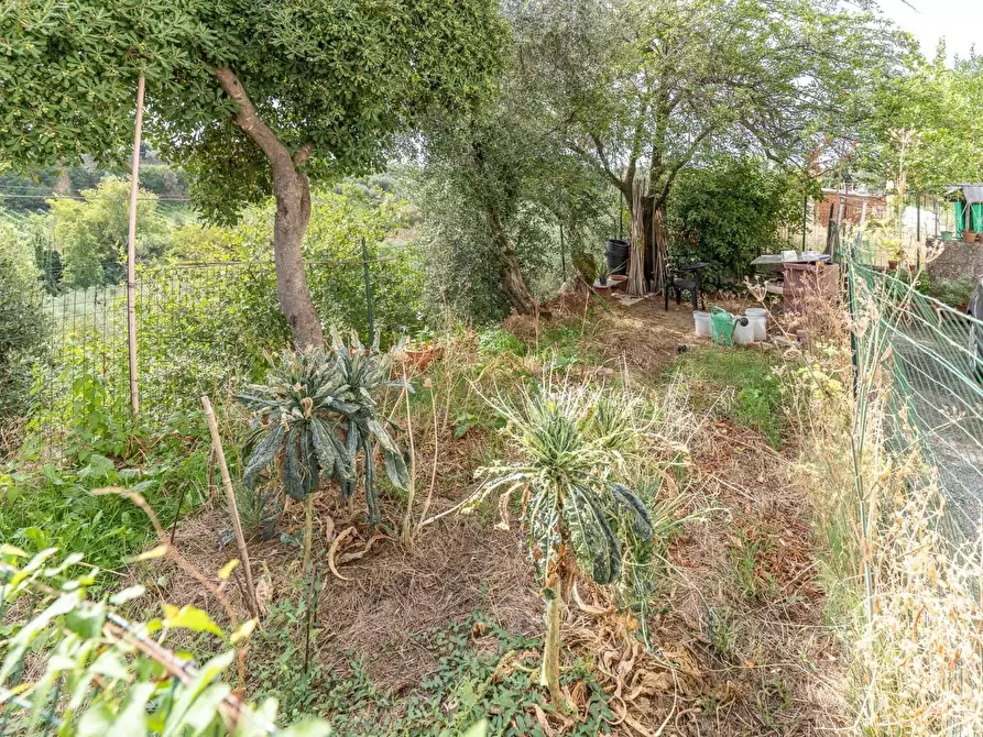 Immagine 32 di Appartamento in vendita  a Lamporecchio