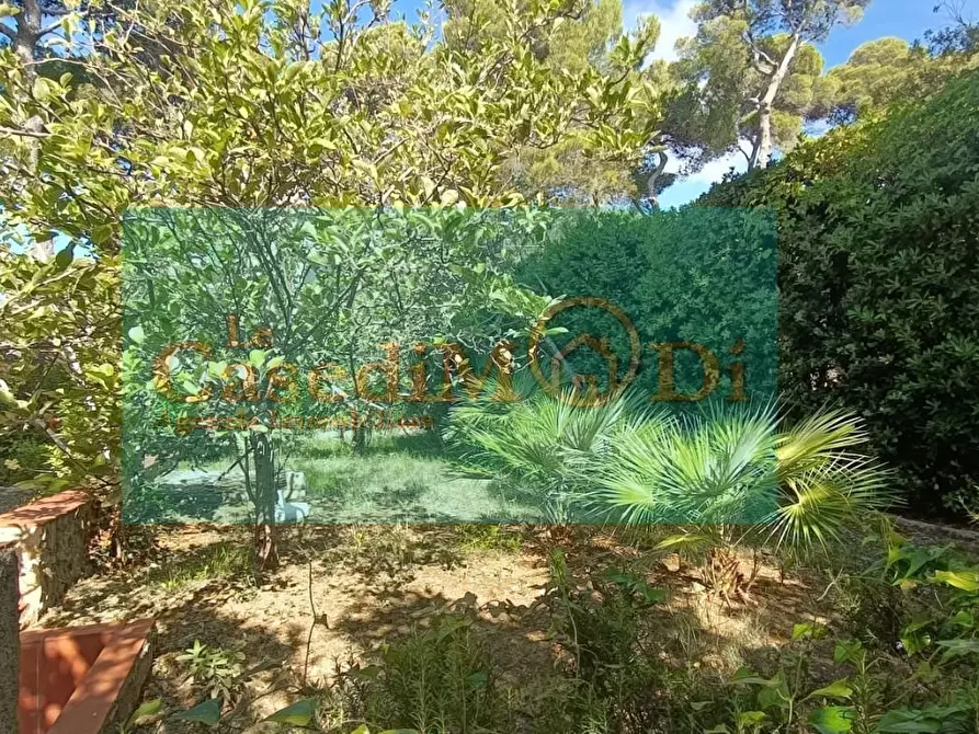Immagine 4 di Villa in vendita  a Livorno