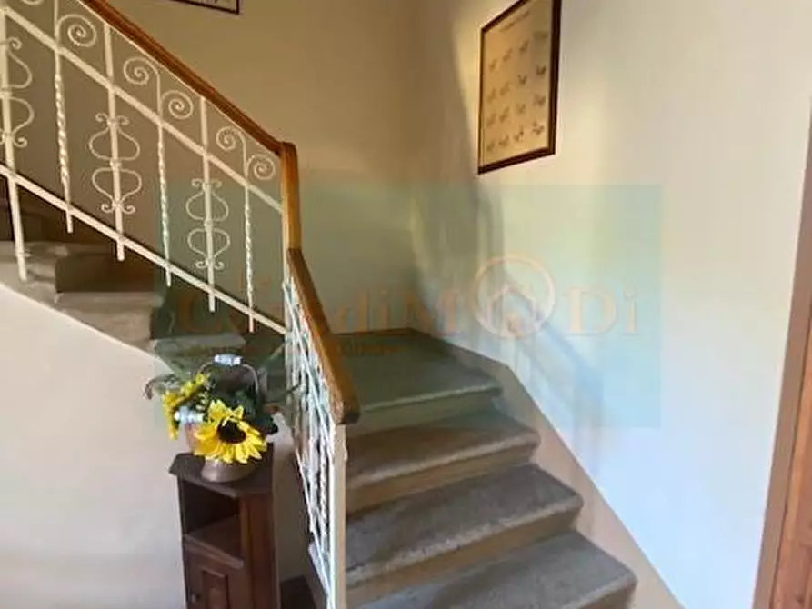 Immagine 30 di Villa in vendita  a Livorno