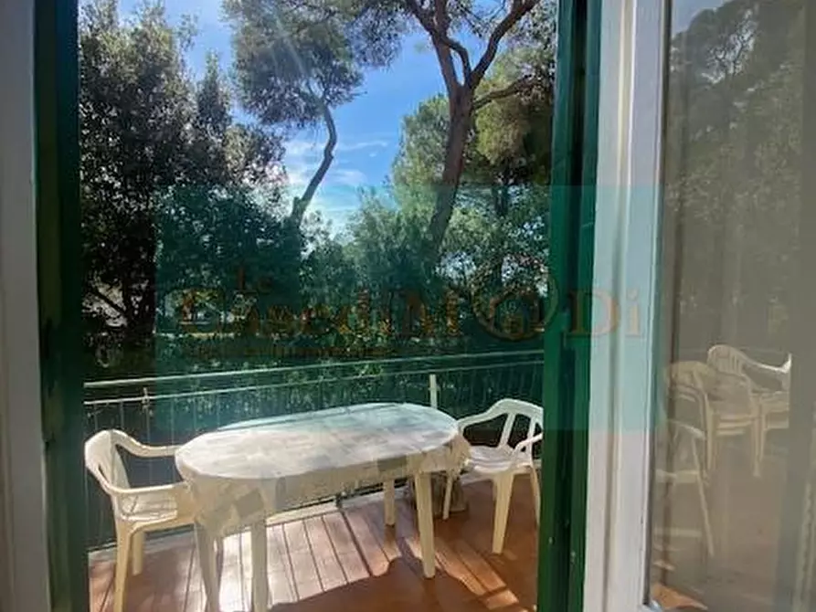 Immagine 38 di Villa in vendita  a Livorno