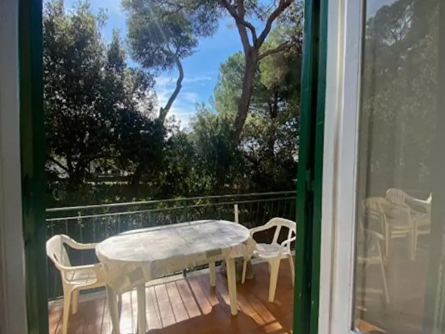 Immagine 6 di Villa in vendita  a Livorno