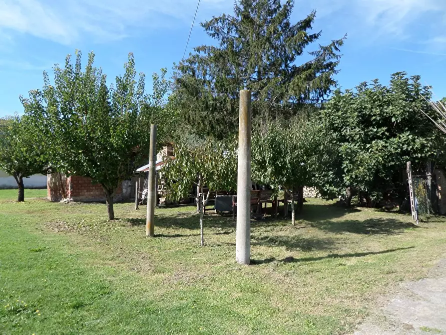 Immagine 31 di Casa colonica in vendita  a San Miniato