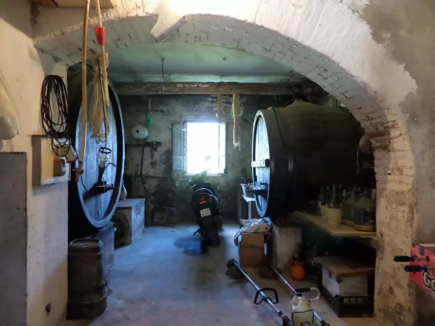 Immagine 25 di Casa colonica in vendita  a San Miniato