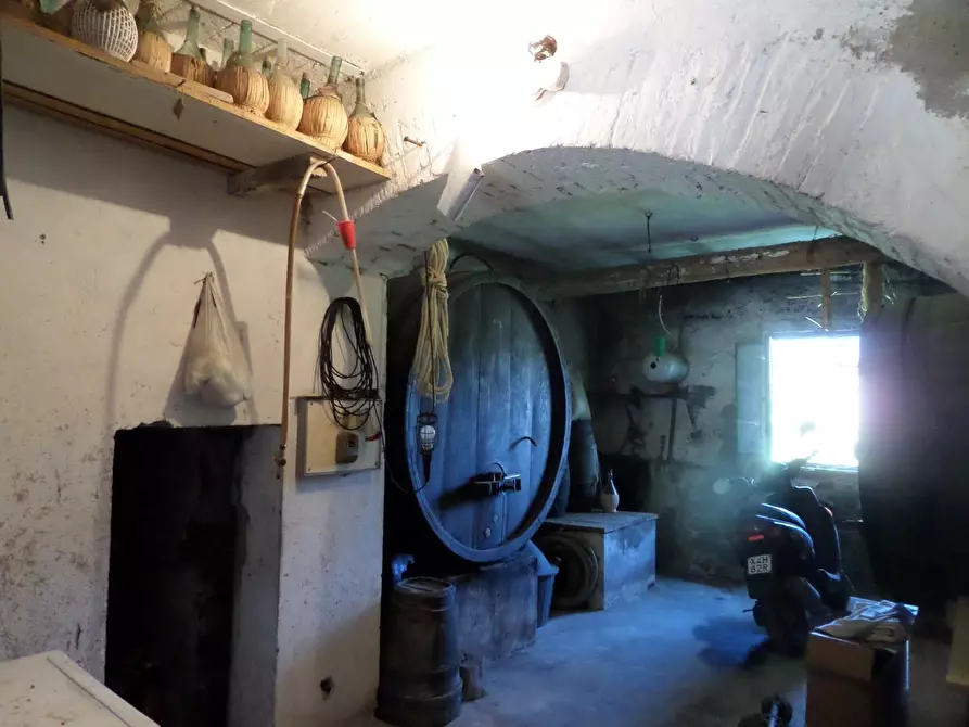 Immagine 24 di Casa colonica in vendita  a San Miniato