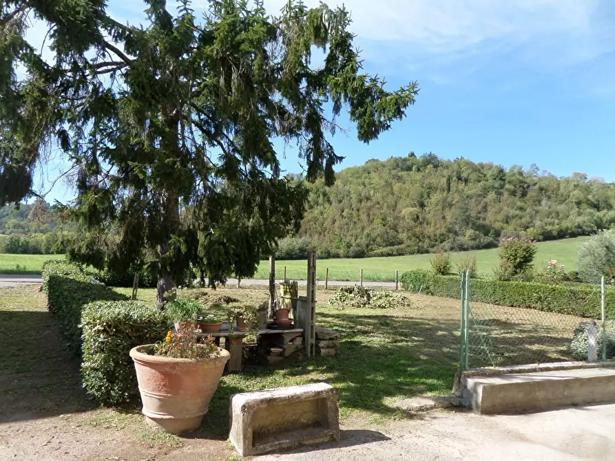 Immagine 34 di Casa colonica in vendita  a San Miniato