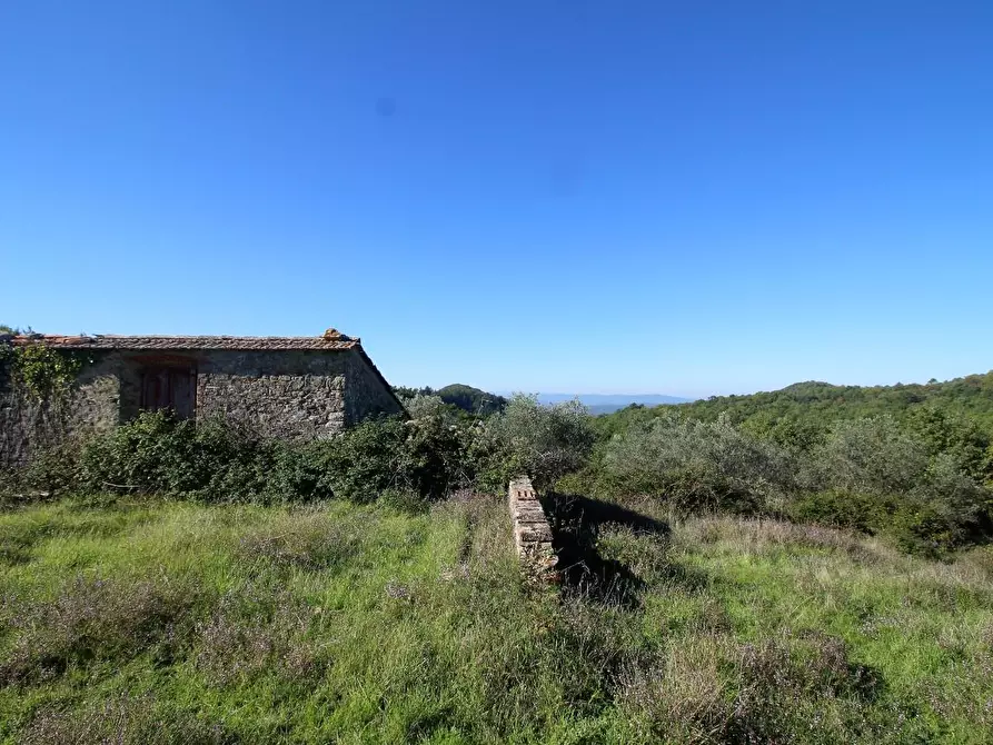 Immagine 40 di Casa colonica in vendita  a Gaiole In Chianti