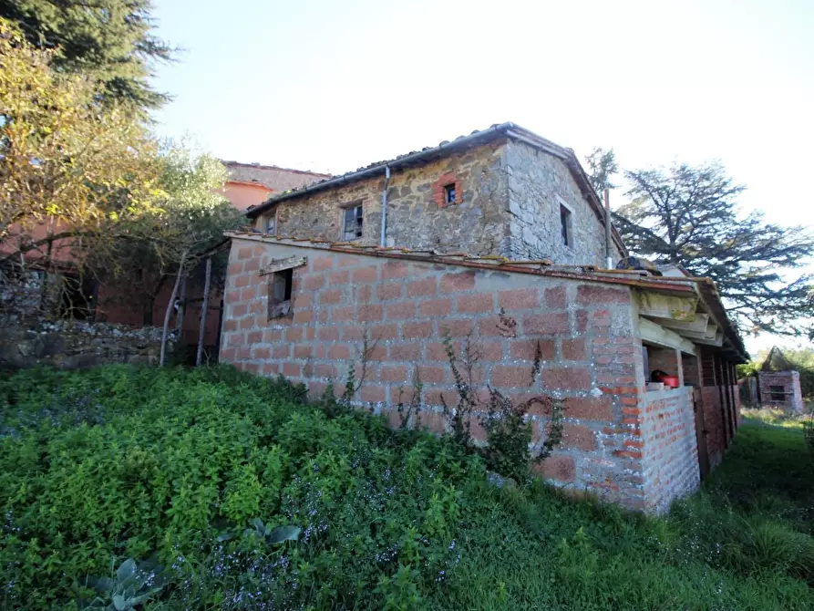 Immagine 37 di Casa colonica in vendita  a Gaiole In Chianti
