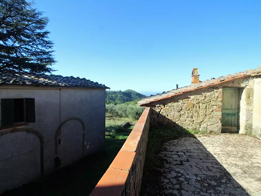 Immagine 33 di Casa colonica in vendita  a Gaiole In Chianti