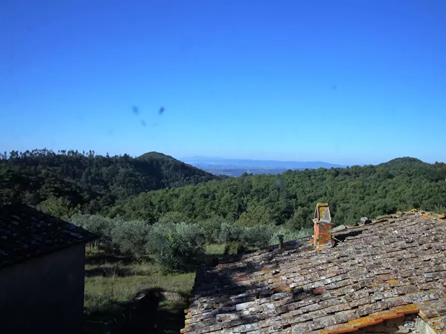 Immagine 29 di Casa colonica in vendita  a Gaiole In Chianti