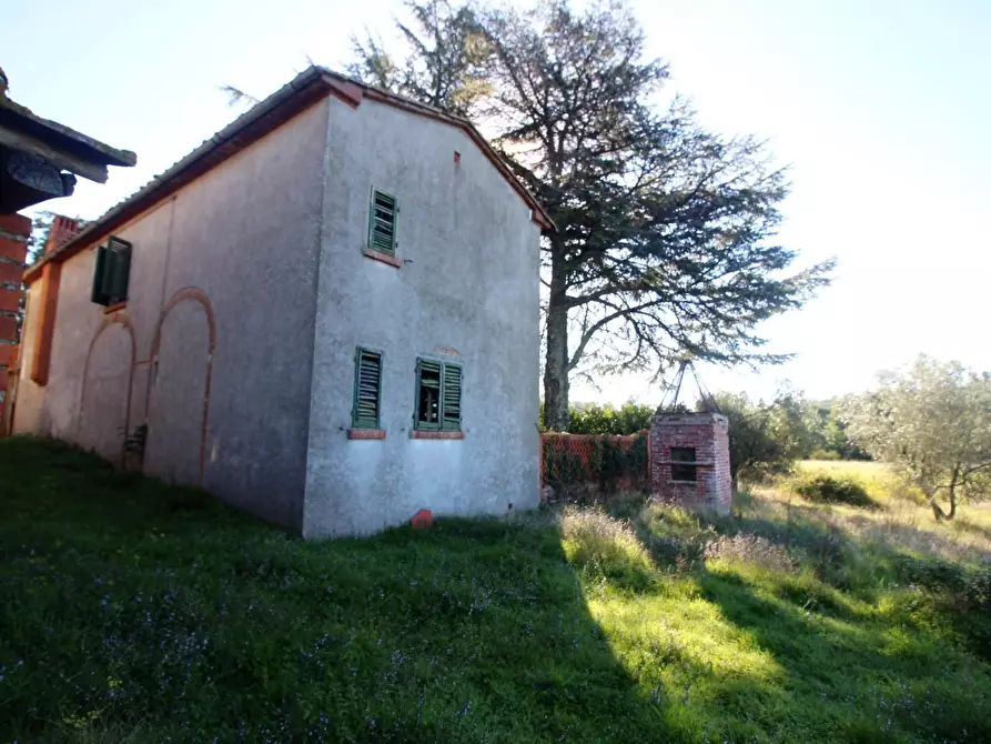 Immagine 36 di Casa colonica in vendita  a Gaiole In Chianti