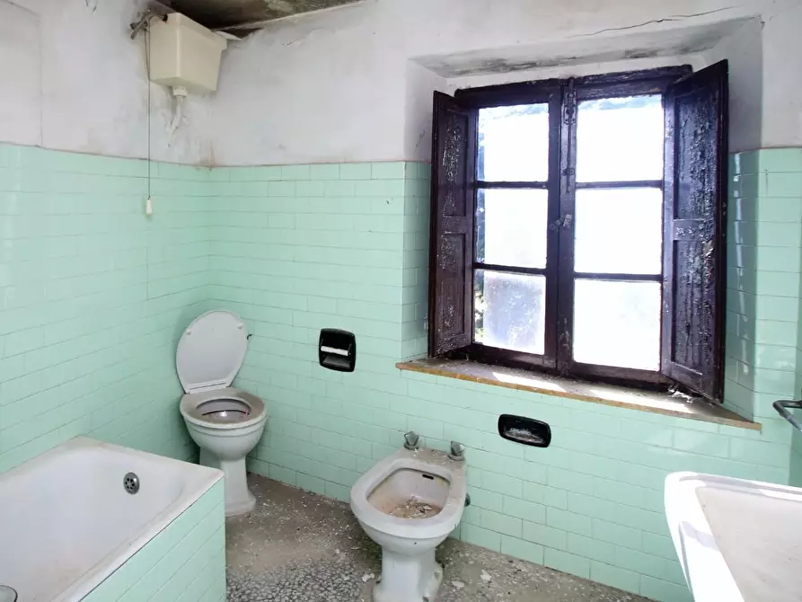 Immagine 26 di Casa colonica in vendita  a Gaiole In Chianti