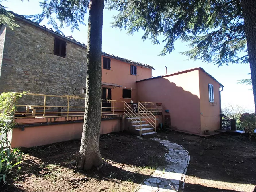 Immagine 35 di Casa colonica in vendita  a Gaiole In Chianti