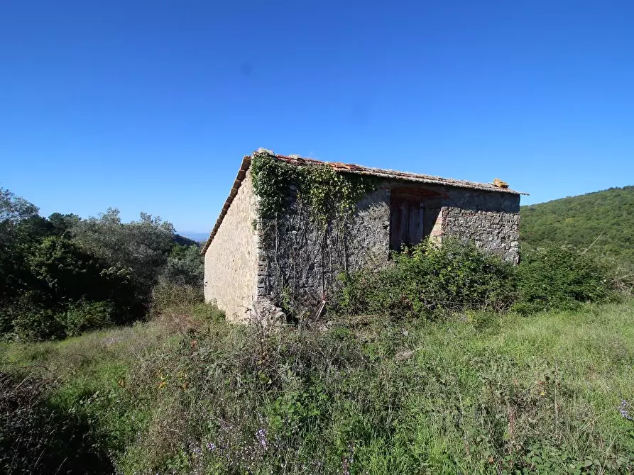 Immagine 31 di Casa colonica in vendita  a Gaiole In Chianti
