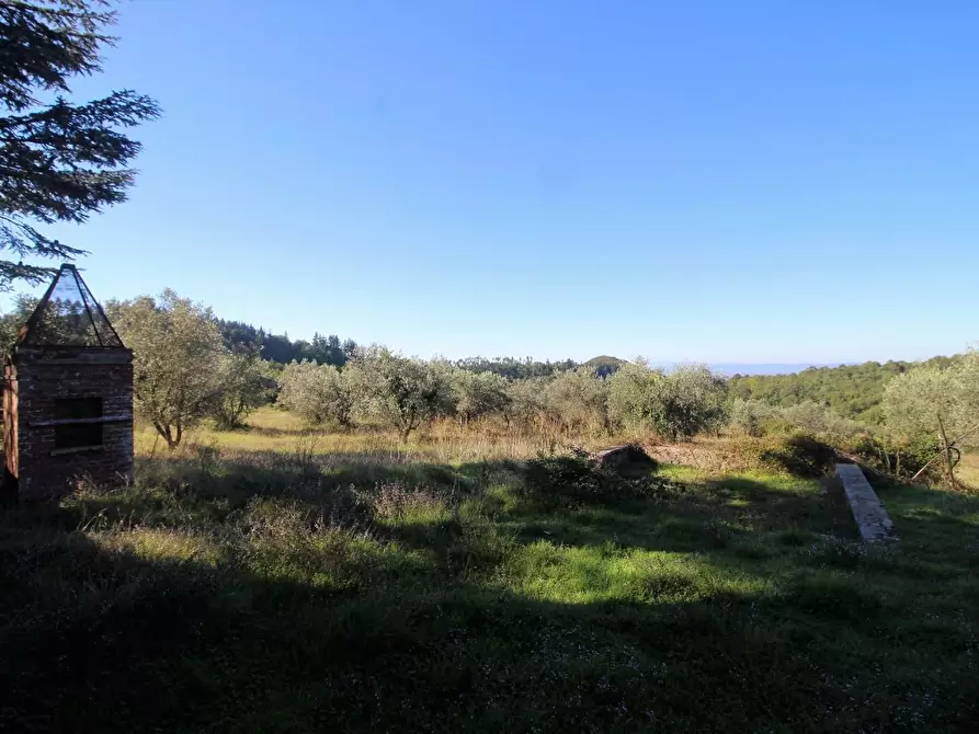 Immagine 28 di Casa colonica in vendita  a Gaiole In Chianti