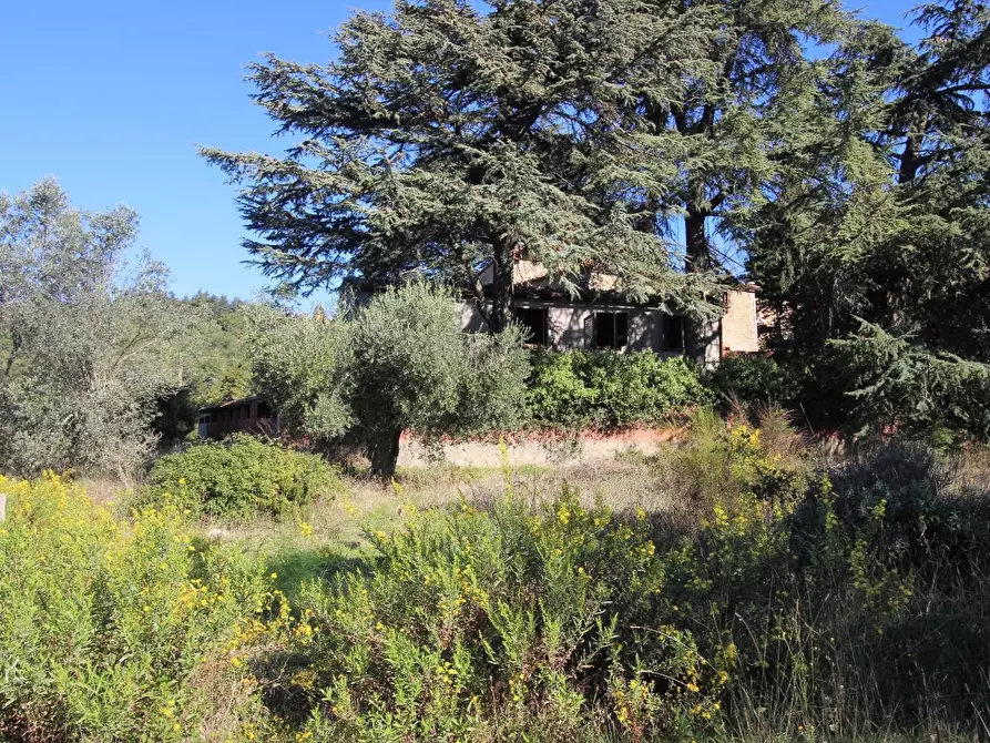 Immagine 39 di Casa colonica in vendita  a Gaiole In Chianti