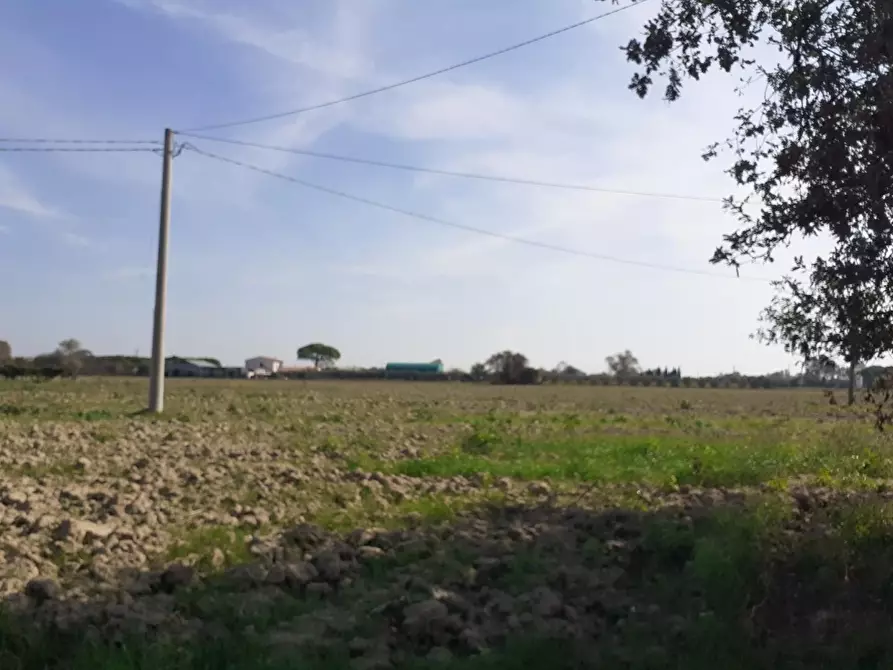 Immagine 1 di Terreno agricolo in vendita  a Cascina