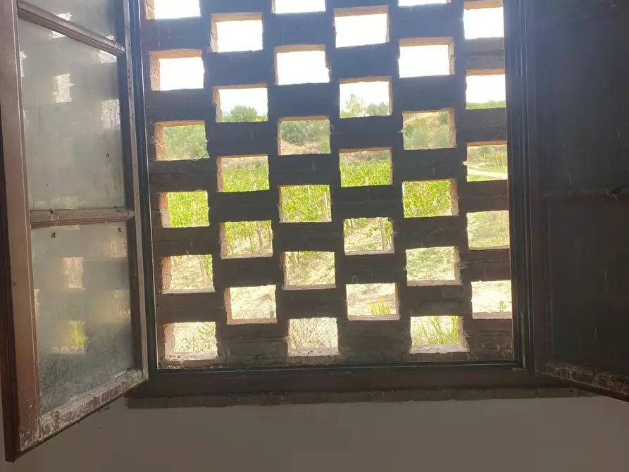 Immagine 24 di Terratetto in vendita  a Empoli