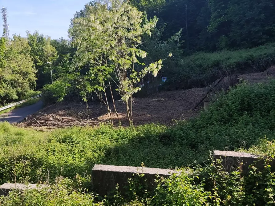 Immagine 15 di Villa in vendita  a Carrara