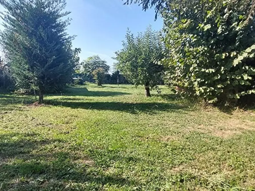 Immagine 2 di Terratetto in vendita  a Pistoia