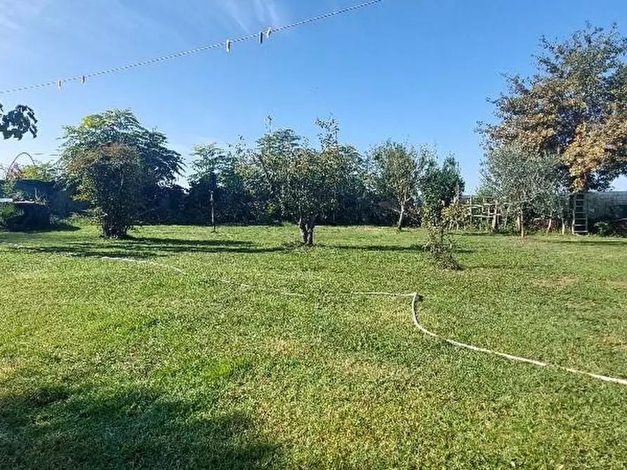 Immagine 4 di Terratetto in vendita  a Pistoia