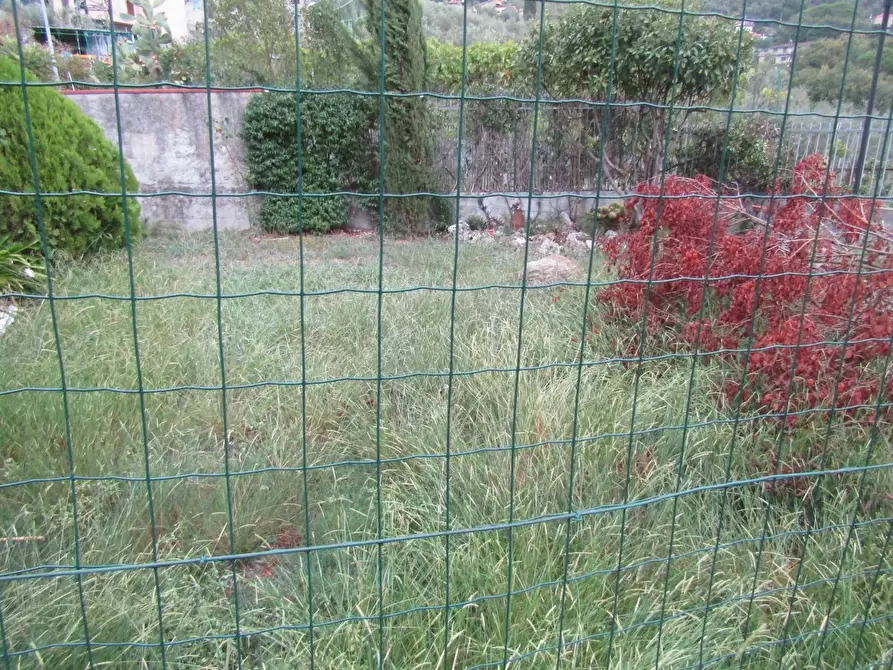 Immagine 13 di Terratetto in vendita  a Carrara