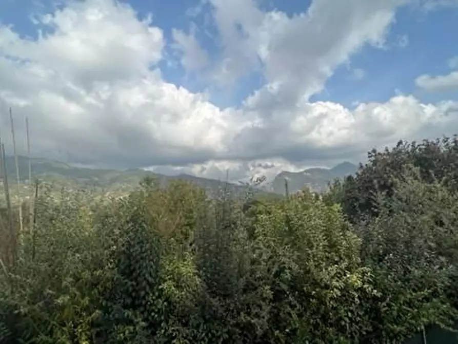 Immagine 28 di Casa semindipendente in vendita  a Seravezza