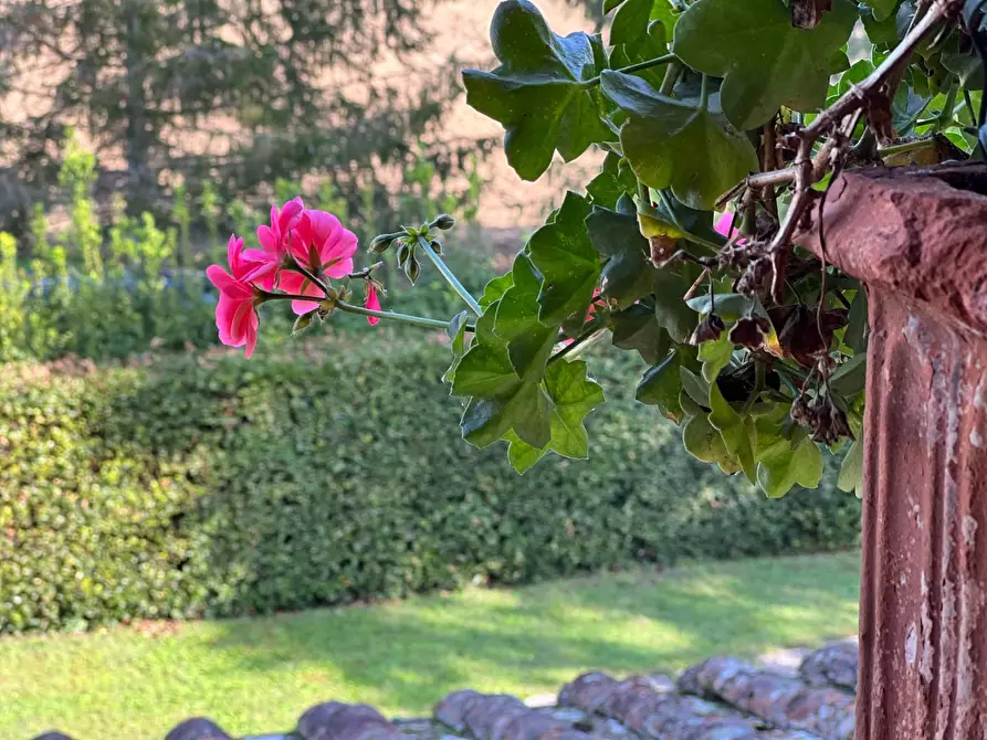 Immagine 14 di Villa in vendita  a San Miniato