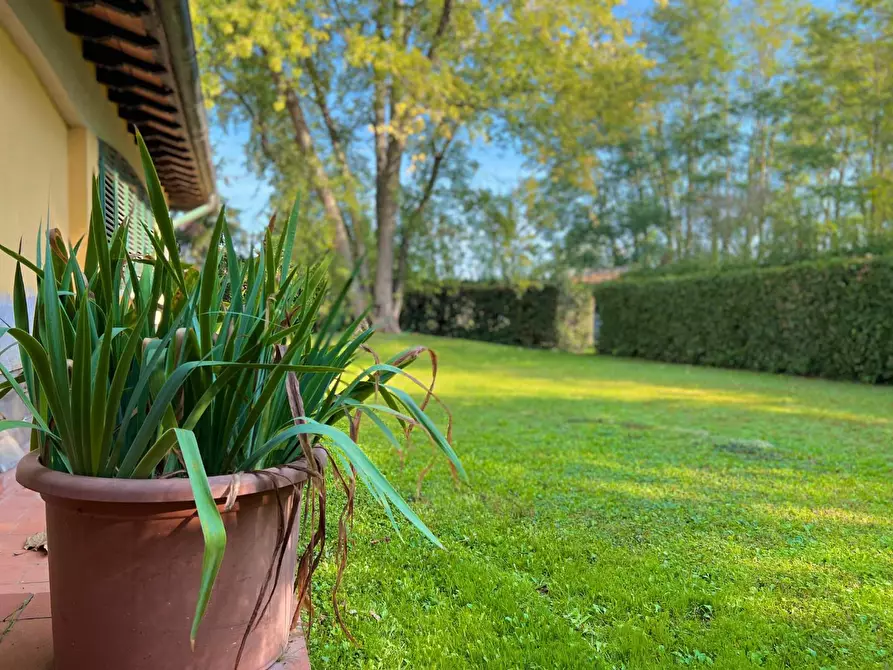 Immagine 2 di Villa in vendita  a San Miniato