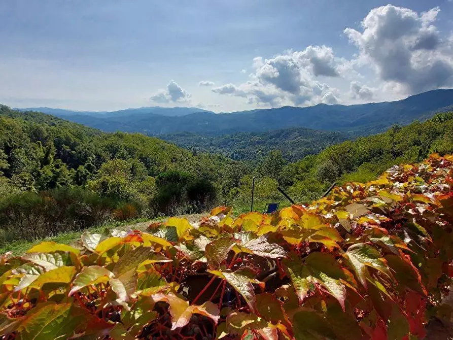 Immagine 23 di Villa in vendita  a Carro