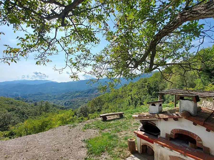 Immagine 49 di Villa in vendita  a Carro