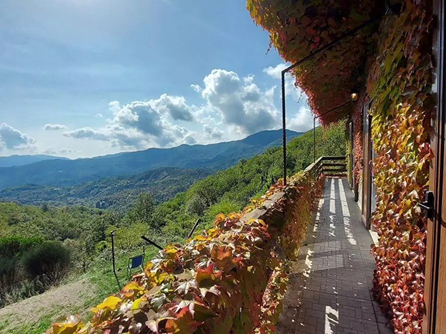 Immagine 25 di Villa in vendita  a Carro