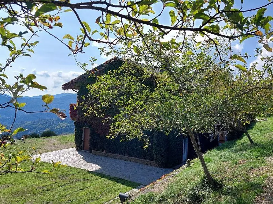Immagine 44 di Villa in vendita  a Carro