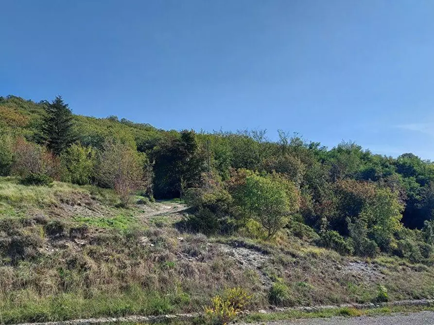 Immagine 48 di Villa in vendita  a Carro