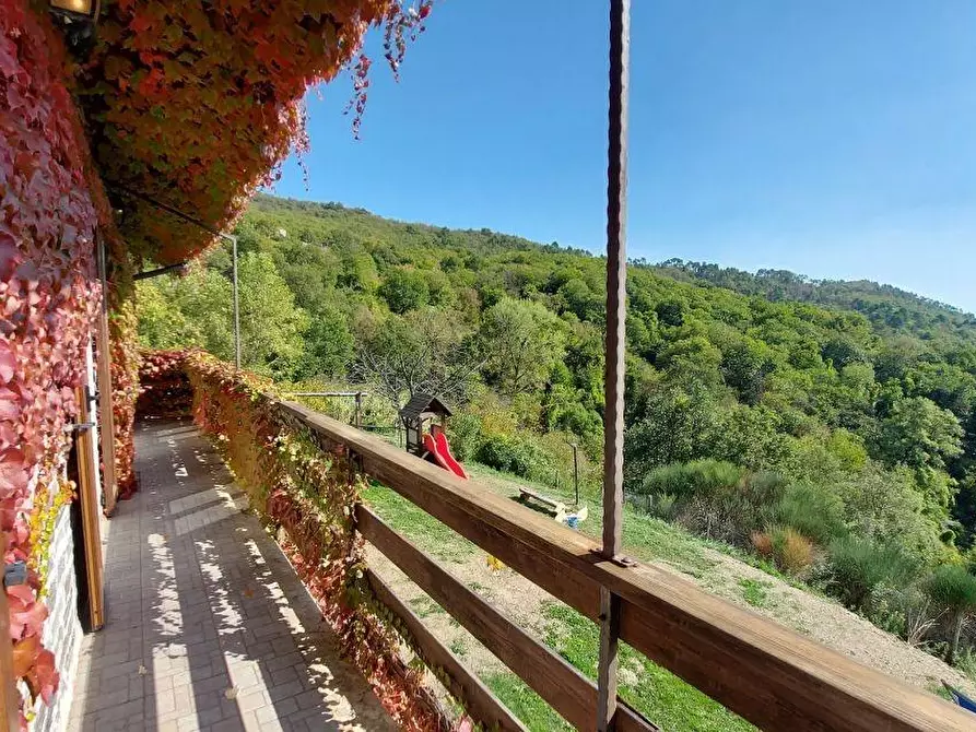 Immagine 46 di Villa in vendita  a Carro