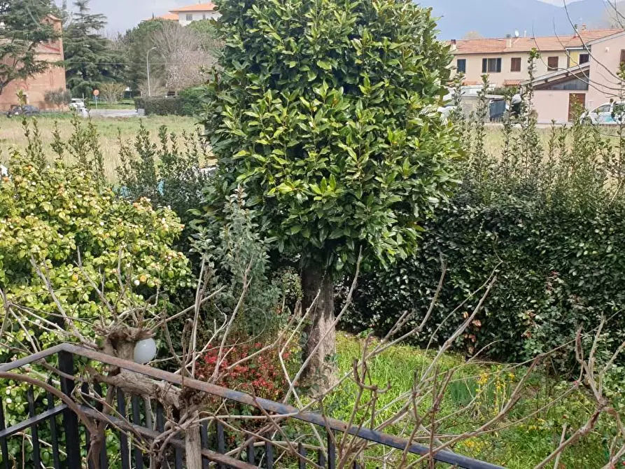 Immagine 26 di Villa in vendita  a Pisa