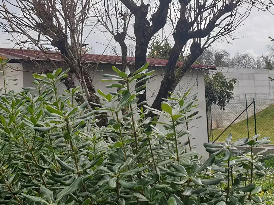 Immagine 8 di Villa in vendita  a Pisa