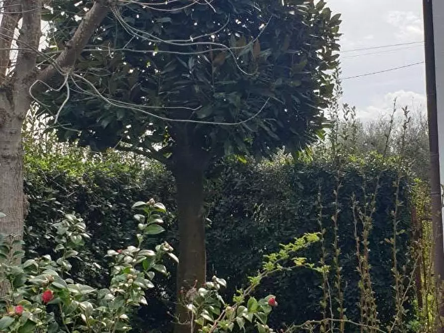 Immagine 5 di Villa in vendita  a Pisa