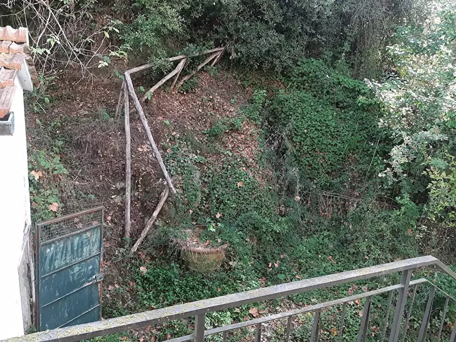 Immagine 14 di Casa bifamiliare in vendita  a San Giuliano Terme