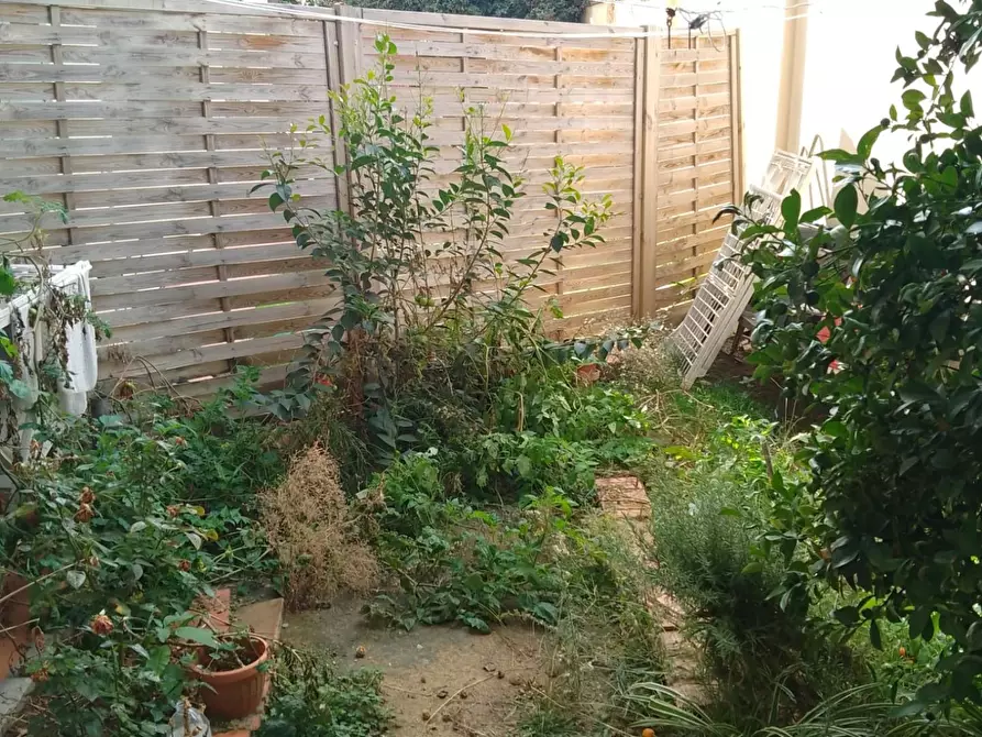 Immagine 3 di Appartamento in vendita  a Livorno