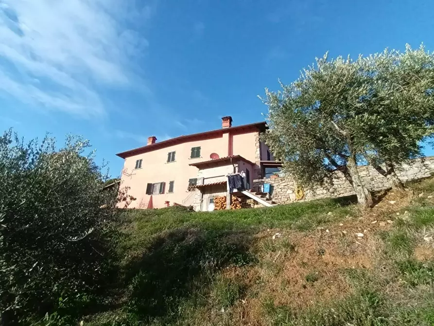 Immagine 4 di Villa in vendita  a Pescaglia