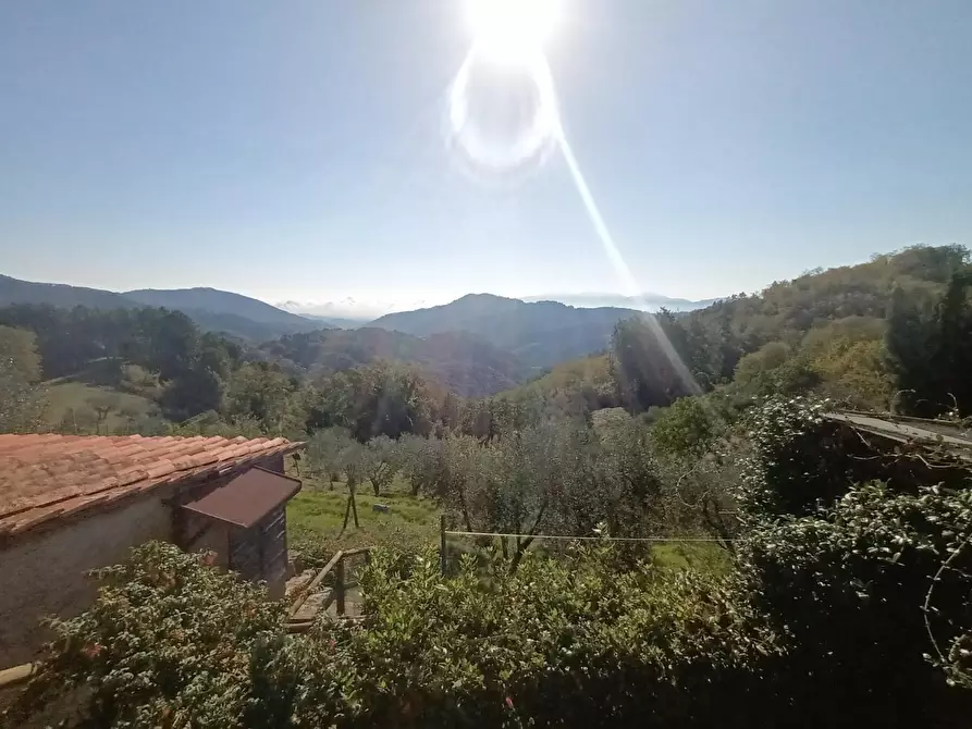 Immagine 25 di Terratetto in vendita  a Pescaglia