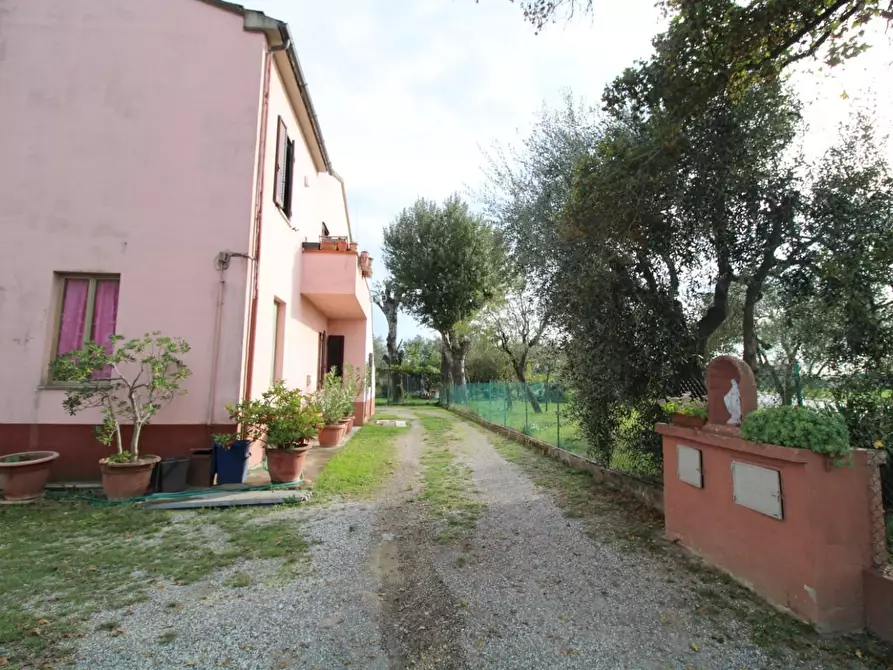 Immagine 2 di Casa indipendente in vendita  a Pontedera