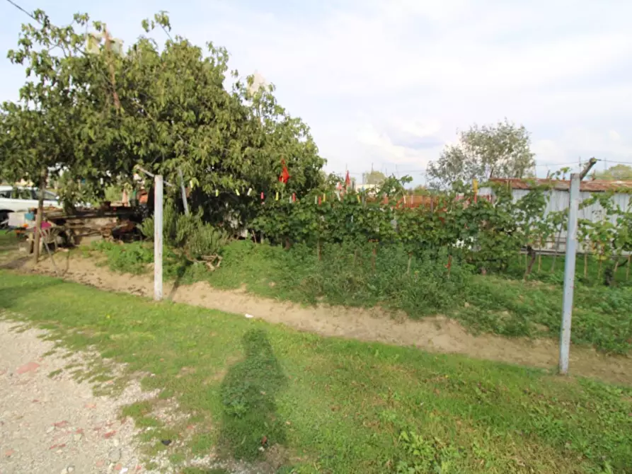 Immagine 3 di Casa indipendente in vendita  a Pontedera